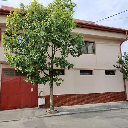 Z Villa 布加勒斯特 外观 照片